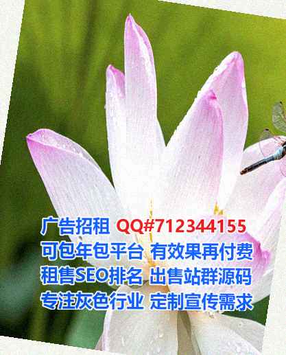金牛借腹生子装饰工程门市部
